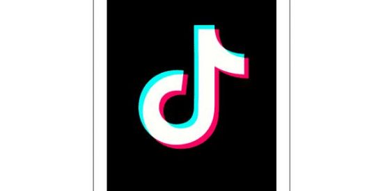 Imagem do grupo de WhatsApp Tik Tok Para Novatos 2020