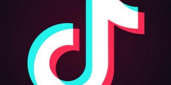 Imagem do grupo de WhatsApp TikTok Farm