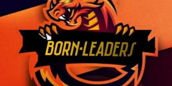 Imagem do grupo de WhatsApp Born-Liaders