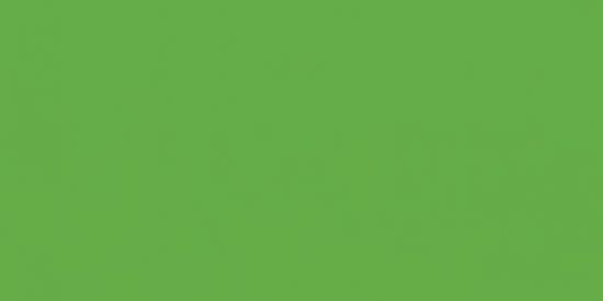 Imagem do grupo de WhatsApp SORTEIO DE SEGUIDORES