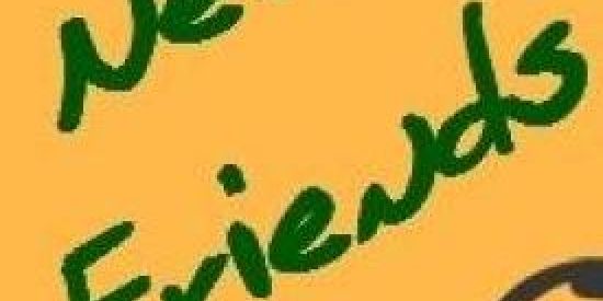 Imagem do grupo de WhatsApp AMIZADES NA QUARENTENA