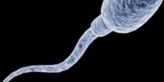 Imagem do grupo de WhatsApp ZOERA 20XX🤬👌