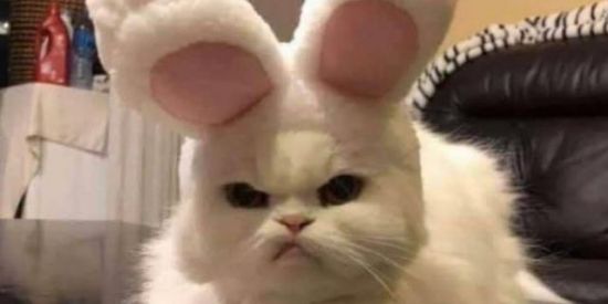 Imagem do grupo de WhatsApp Figurinhas para whatsapp...