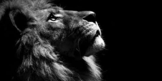 Imagem do grupo de WhatsApp Método de fatura dinheiro