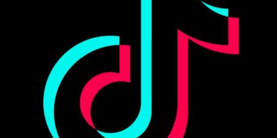 Imagem do grupo de WhatsApp TIKTOK (METAS)