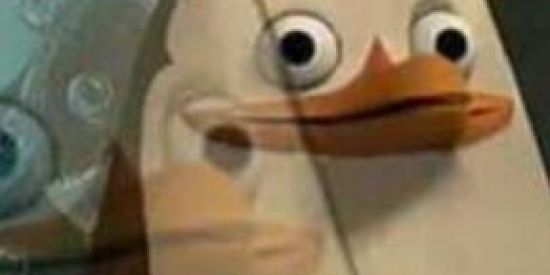 Imagem do grupo de WhatsApp Cheche do haize