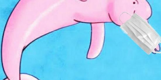 Imagem do grupo de WhatsApp SHITPOST BOTOKKKK