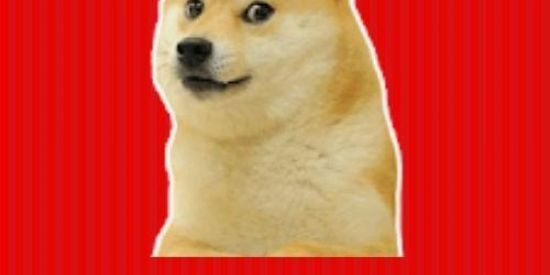 Imagem do grupo de WhatsApp Figurinhas Amo muito