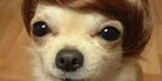 Imagem do grupo de WhatsApp O Espancado