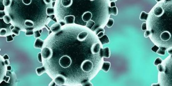 Imagem do grupo de WhatsApp Covid-19 Brasil e Região de Ribeirão Preto