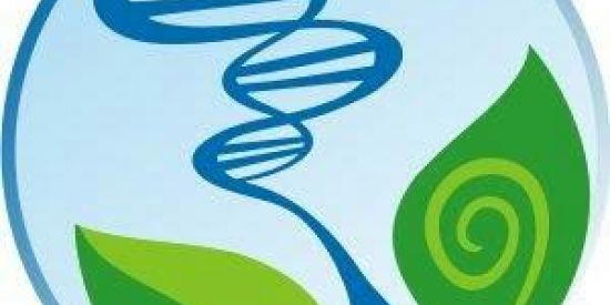 Imagem do grupo de WhatsApp Estudando Biologia