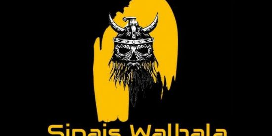 Imagem do grupo de WhatsApp SINAIS WHALHALA-FREE