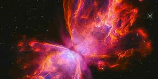 Imagem do grupo de WhatsApp 🎮 Nerds 🖥️📱🤓