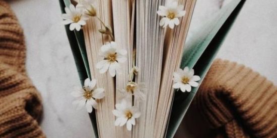 Imagem do grupo de WhatsApp Clube de Leitura