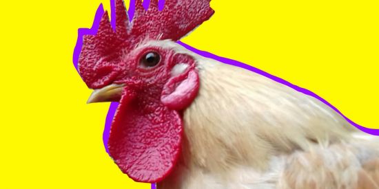 Imagem do grupo de WhatsApp Facebook