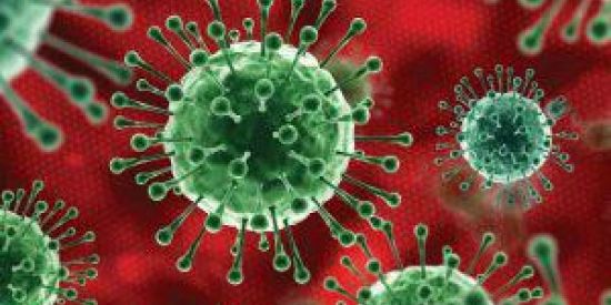 Imagem do grupo de WhatsApp SHITPOST 🤠🤠