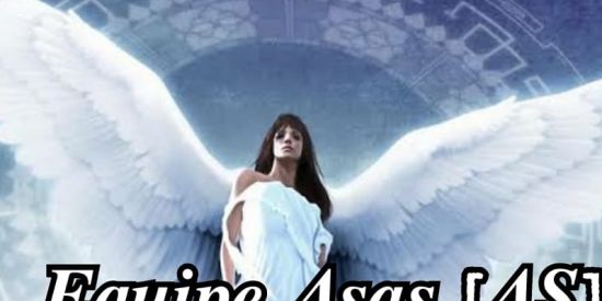 Imagem do grupo de WhatsApp Asas equipe