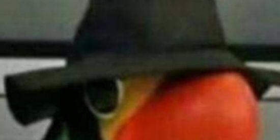 Imagem do grupo de WhatsApp ~ShitPost 2.0~