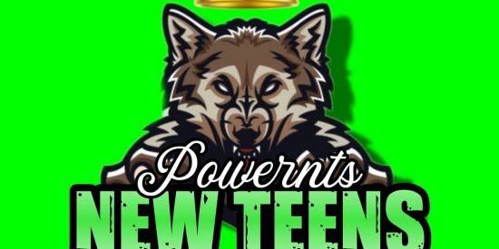 Imagem do grupo de WhatsApp GANHAR SEGUIDORES