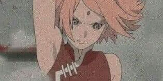 Imagem do grupo de WhatsApp 🌸Recrutas🌸