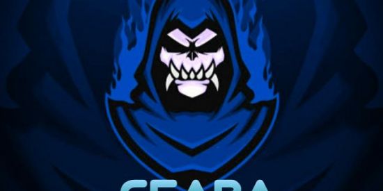 Imagem do grupo de WhatsApp RECRUTAMENTO CEARA E-SPORTS