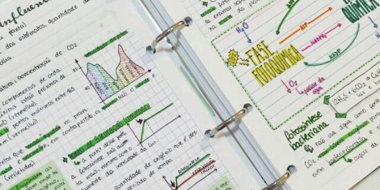 Imagem do grupo de WhatsApp Estudos ENEM