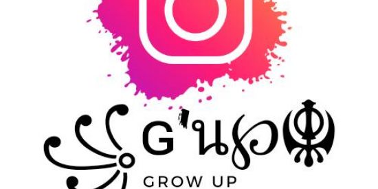 Imagem do grupo de WhatsApp G'UP CRESÇA SEU INSTAGRAM
