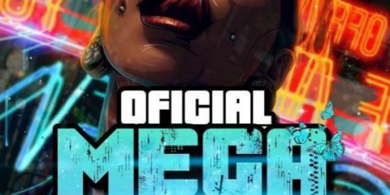 Imagem do grupo de WhatsApp Megas diárias