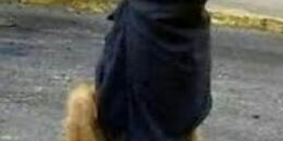 Imagem do grupo de WhatsApp Amizades novas e até um namoro