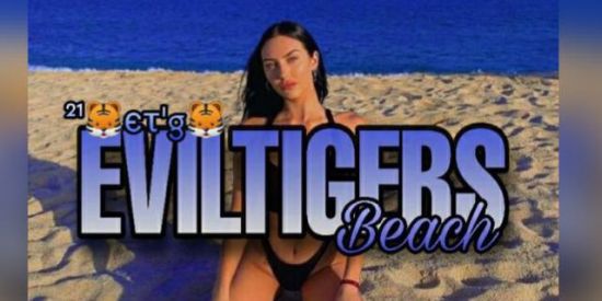 Imagem do grupo de WhatsApp Recrutamento 🐯єτ'g🐯