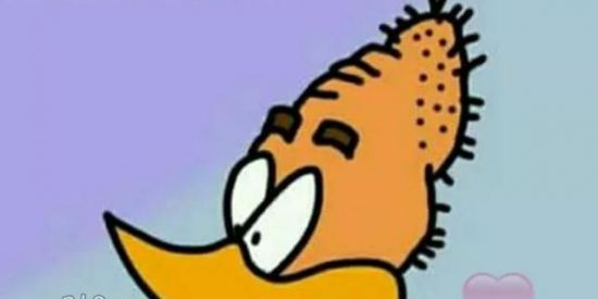 Imagem do grupo de WhatsApp Memes