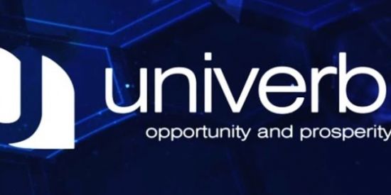 Imagem do grupo de WhatsApp INVESTIDOR UNIVERBIT