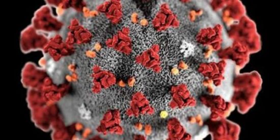 Imagem do grupo de WhatsApp Quarenta