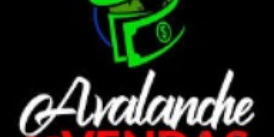 Imagem do grupo de WhatsApp Avalanche de Vendas / Hotmart / Monetizze