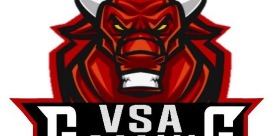 Imagem do grupo de WhatsApp VSA SPORT