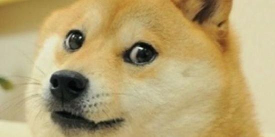 Imagem do grupo de WhatsApp Figurinhas  +18