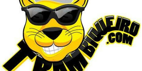 Imagem do grupo de WhatsApp Os Trambiqueiros®