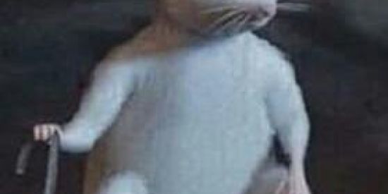 Imagem do grupo de WhatsApp Formigas Atômicas