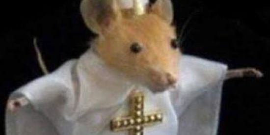 Imagem do grupo de WhatsApp DORIME