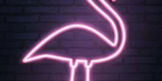 Imagem do grupo de WhatsApp Detetives Flamingos