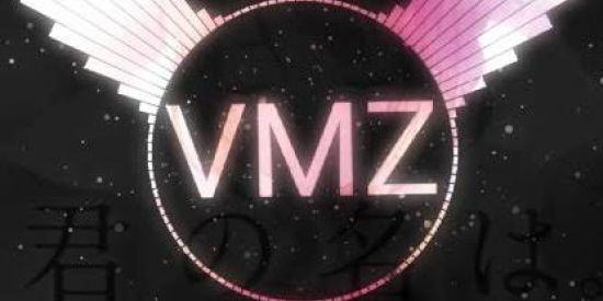 Imagem do grupo de WhatsApp Família Vmz