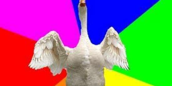 Imagem do grupo de WhatsApp AFOGA O GANSO™_(OFICIAL)™