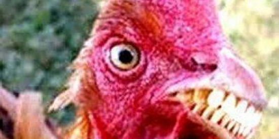 Imagem do grupo de WhatsApp topzeros