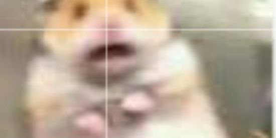 Imagem do grupo de WhatsApp Figurinhas