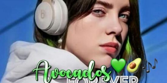 Imagem do grupo de WhatsApp AVOCADOS FOREVER