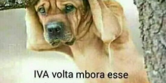 Imagem do grupo de WhatsApp Rir faz bem