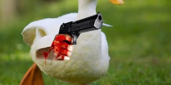 Imagem do grupo de WhatsApp Figurinhas e Shitpost