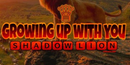 Imagem do grupo de WhatsApp •| ⁰²🦁sнα∂σω ℓiσทs🦁