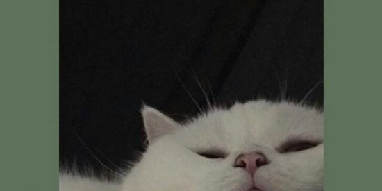 Imagem do grupo de WhatsApp CONTATINHOS