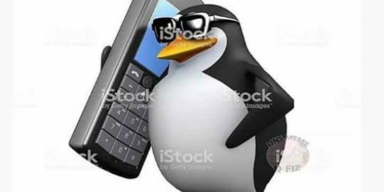 Imagem do grupo de WhatsApp Vdd Isso